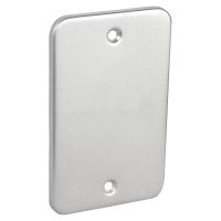 84989 2X4 BLANK UTILITY BOX COVER